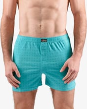 Pánské volné trenky GINO 75191P