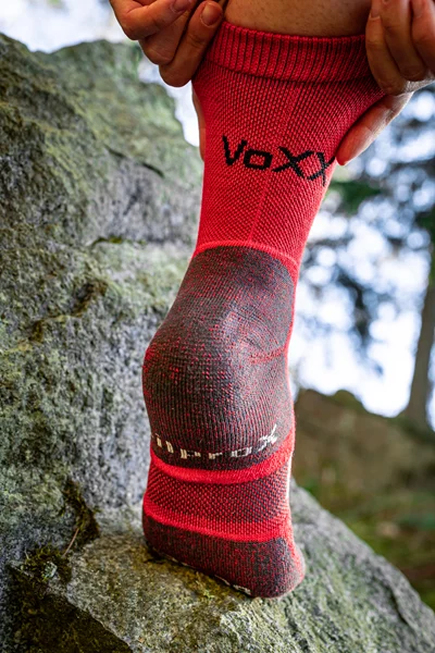 VoXX