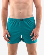 Pánské volné trenky GINO 75183P