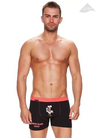 Pánské boxerky Fun 17/1-19/E220 slepice FABIO