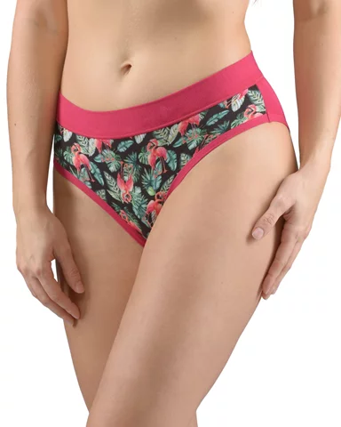 Dámské kalhotky klasické GINA 10268P bordo lahvová XL/XXL