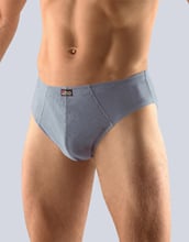 Pánské slipy klasické GINO 71055P