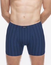 Pánské boxerky s delší nohavičkou GINO 74183P