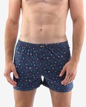 Pánské volné trenky GINO 75180P