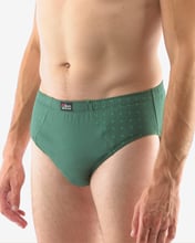 Pánské slipy se širším bokem GINO 71110P