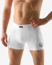 Pánské boxerky s delší nohavičkou GINA 74041P