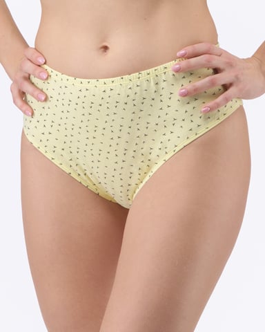 Dámské klasické kalhotky ve větších velikostech GINA 11093P