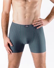 Pásnké boxerky s delší nohavičou GINO 74169P