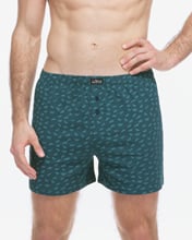 Pánské volné trenky GINO 75215P