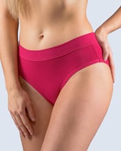 Dámské klasické kalhotky GINA 10255P