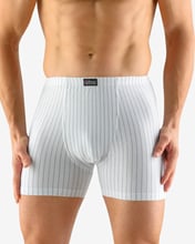 Pánské boxerky s delší nohavičkou GINO 74105P