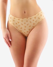 Dámské klasické kalhotky GINA 10262P