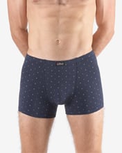 Pánské boxerky s kratší nohavičkou GINO 73133P