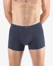 Pánské boxerky s kratší nohavičkou GINO 73133P