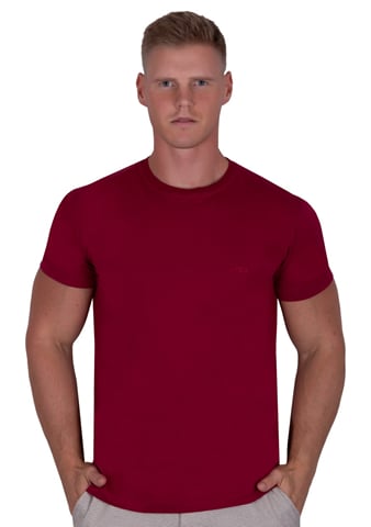 Pánské tričko 309 TDS bordo (vínová) L