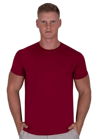 Pánské tričko 309 TDS bordo (vínová) 4XL