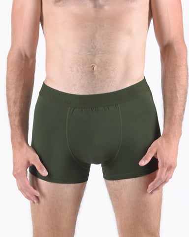 Pánské boxerky s kratší nohavičkou GINO 73126P