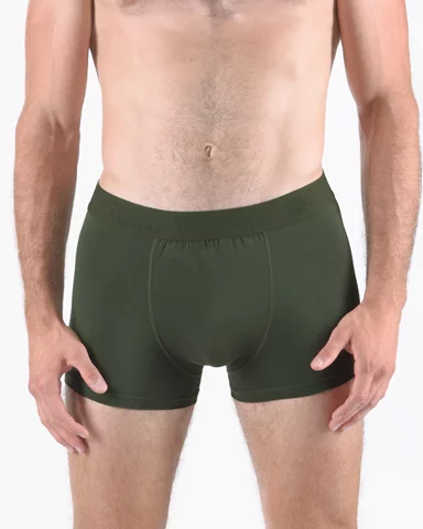 Pánské boxerky s kratší nohavičkou GINO 73126P
