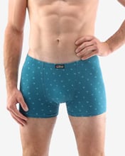 Pánské boxerky s kratší nohavičkou GINO 73114P