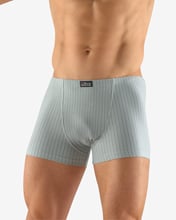 Pánské boxerky s kratší nohavičkou GINO 73097P