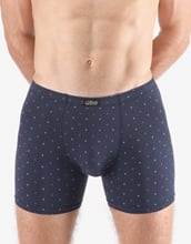 Pánské boxerky s delší nohavičkou GINO 74173P