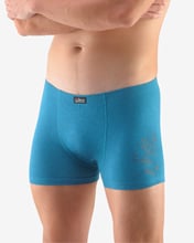 Pánské boxerky s kratší nohavičkou GINO 73100P