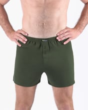 Pánské volné trenky GINO 75194P