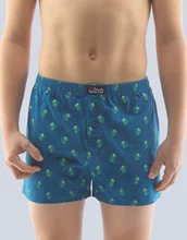 Chlapecké trenky volné GINO 25013P