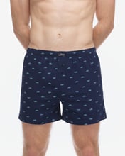 Pánské volné trenky GINO 75216P