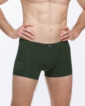 Pánské boxerky s kratší nohavičkou GINO 73135P