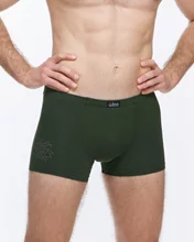 Pánské boxerky s kratší nohavičkou GINO 73135P