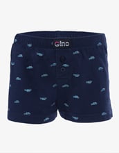 Chlapecké volné trenky GINO 25018P