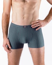 Pánské boxerky s kratší nohavičkou GINO 73131P