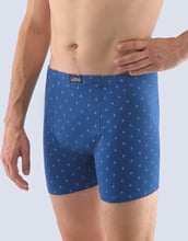 Pánské boxerky s delší nohavičkou GINO 74137P