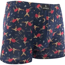 Pánské boxerky KEVIN sobíci II