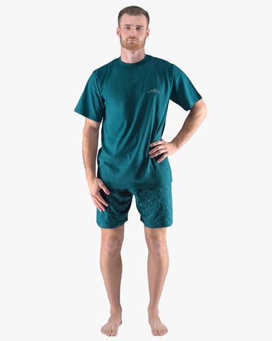 Pánské pyžamo krátké GINO 79164P