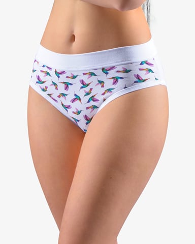 Dámské klasické kalhotky GINA 10271P