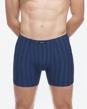 Pánské boxerky s delší nohavičkou GINO 74183P