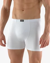 Pánské boxerky s delší nohavičkou GINO 74116P