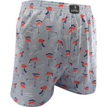 Trenýrky KARLOS plameňáci