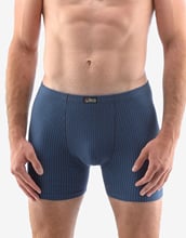 Pánské boxerky s delší nohavičkou GINO 74153P