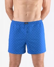 Pánské volné trenky GINO 75210P