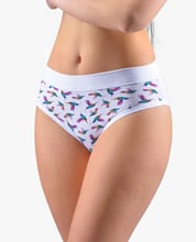 Dámské klasické kalhotky GINA 10271P