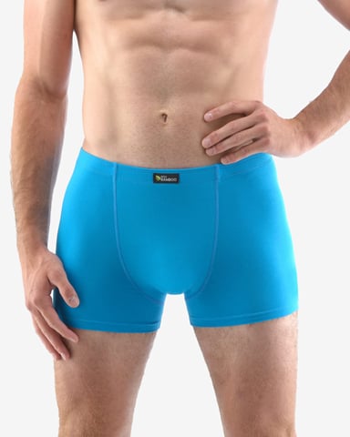 Pánské boxerky s kratší nohavičkou GINO 73124P