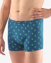 Pánské boxerky s kratší nohavičkou GINO 73109P