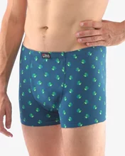 Pánské boxerky s kratší nohavičkou GINO 73109P