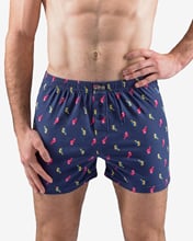 Pánské trenky volné GINO 75199P