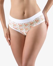 Dámské klasické kalhotky GINA 10277P