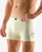Pánské boxerky s kratší nohavičkou GINO 73083P