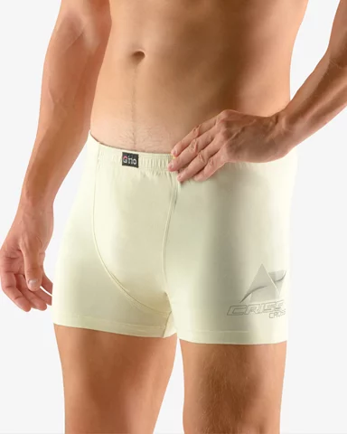 Pánské boxerky s kratší nohavičkou GINO 73083P